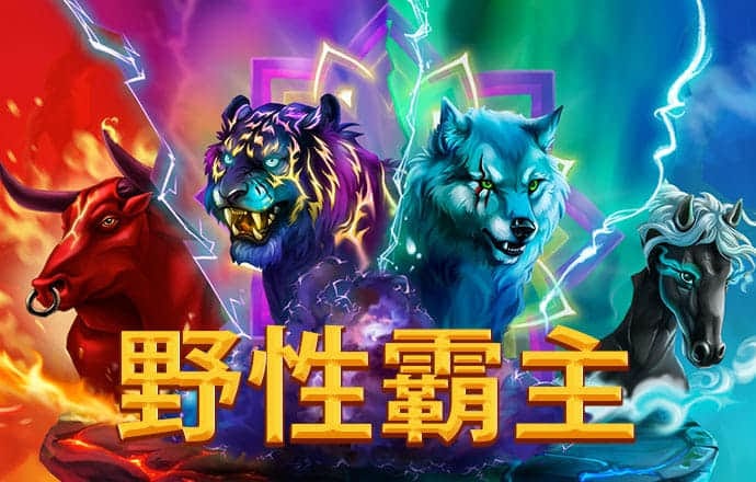 金年汇体育app